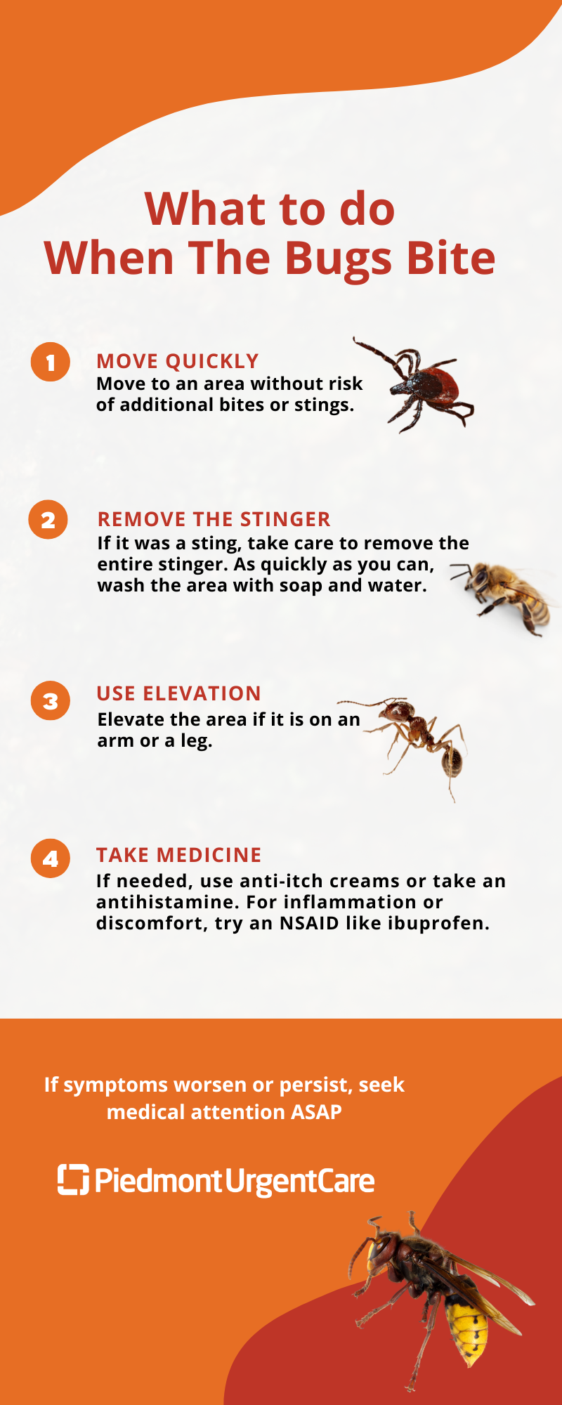 What to do When Bugs Bite