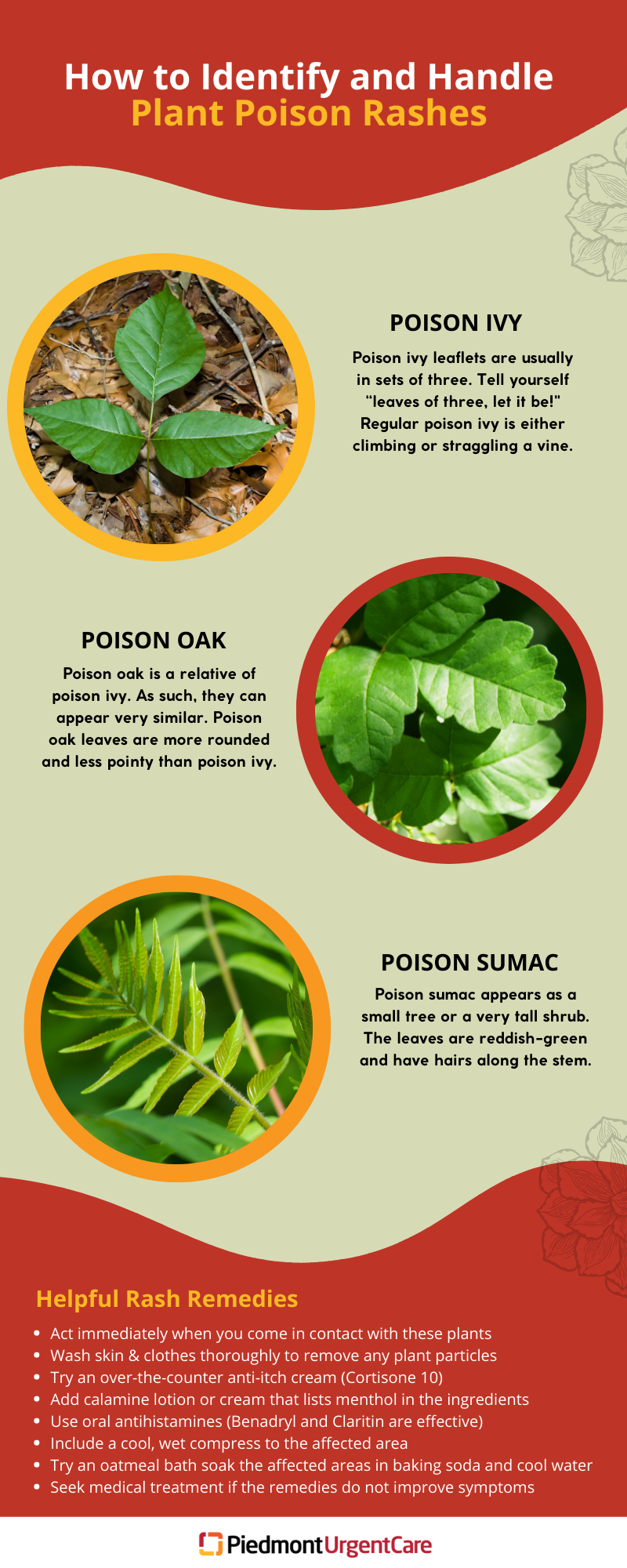 Plant poison rashes - poison ivy, poison oak, poison sumac